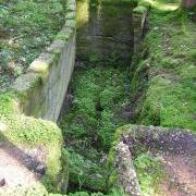 Betonfundament einer Latrinengrube im Waldlager