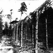 Zaun des Waldlagers